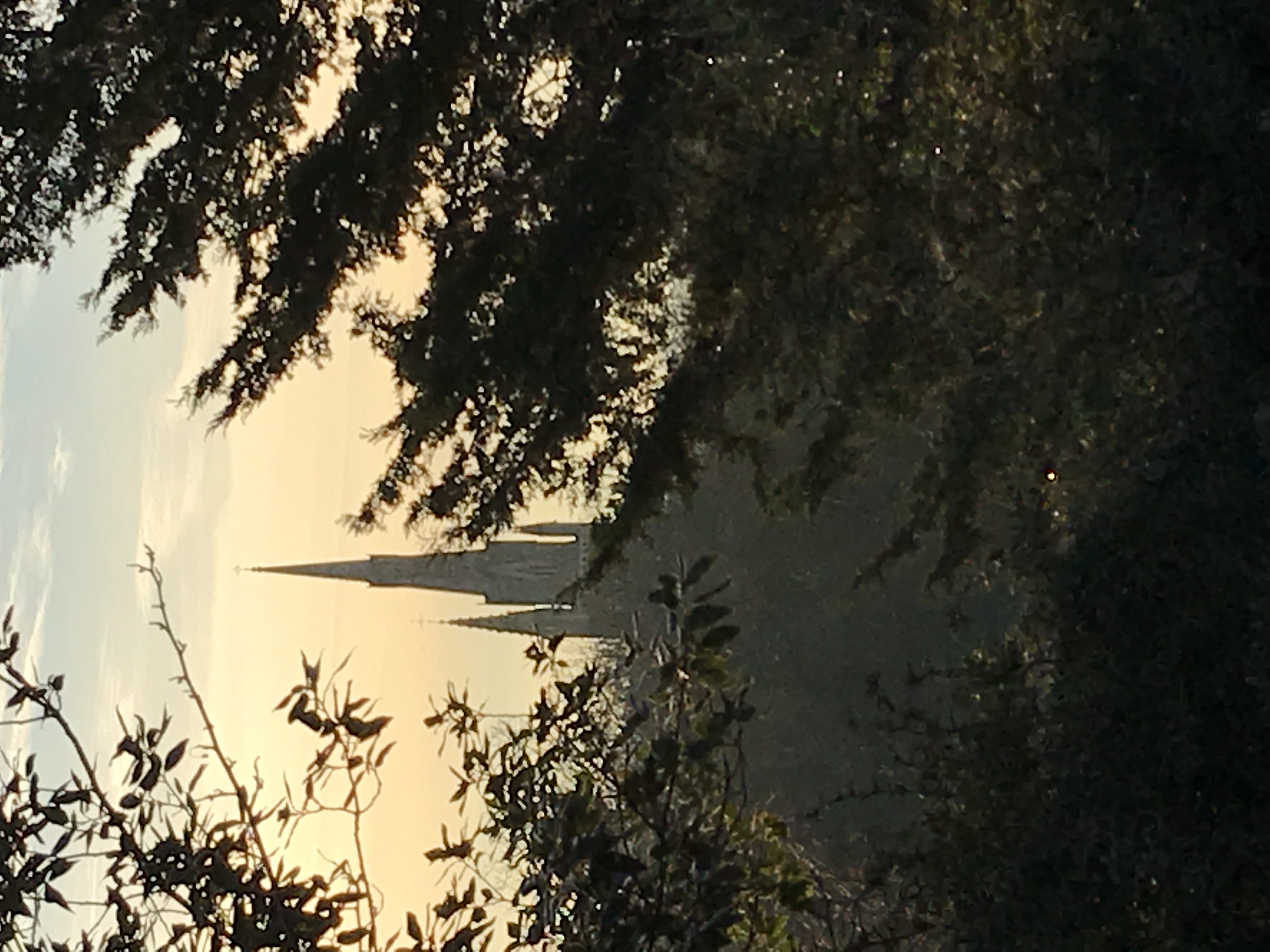 ./2018/15 - London/02 - Day 2/IMG_8472.jpg